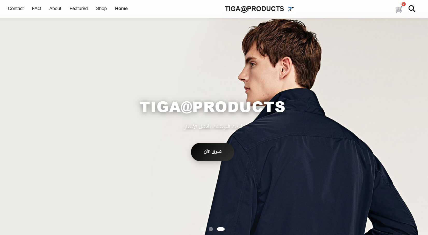 B2C Online Store